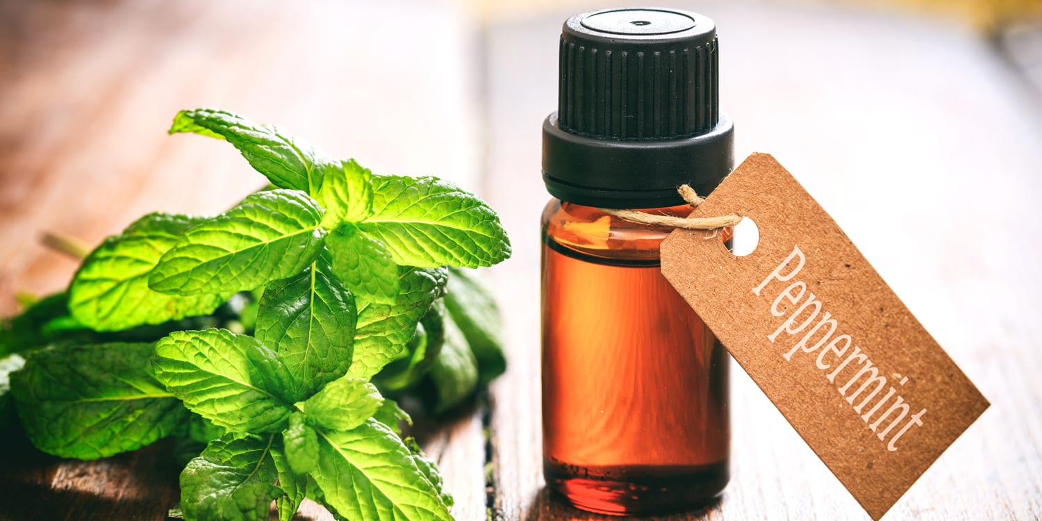peppermint-oil-today-main-181220-01